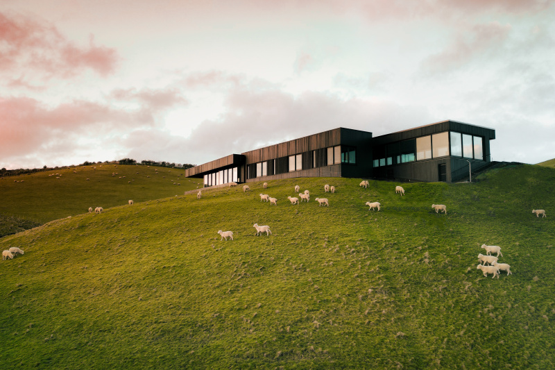 2023 ChapmanHouse 2